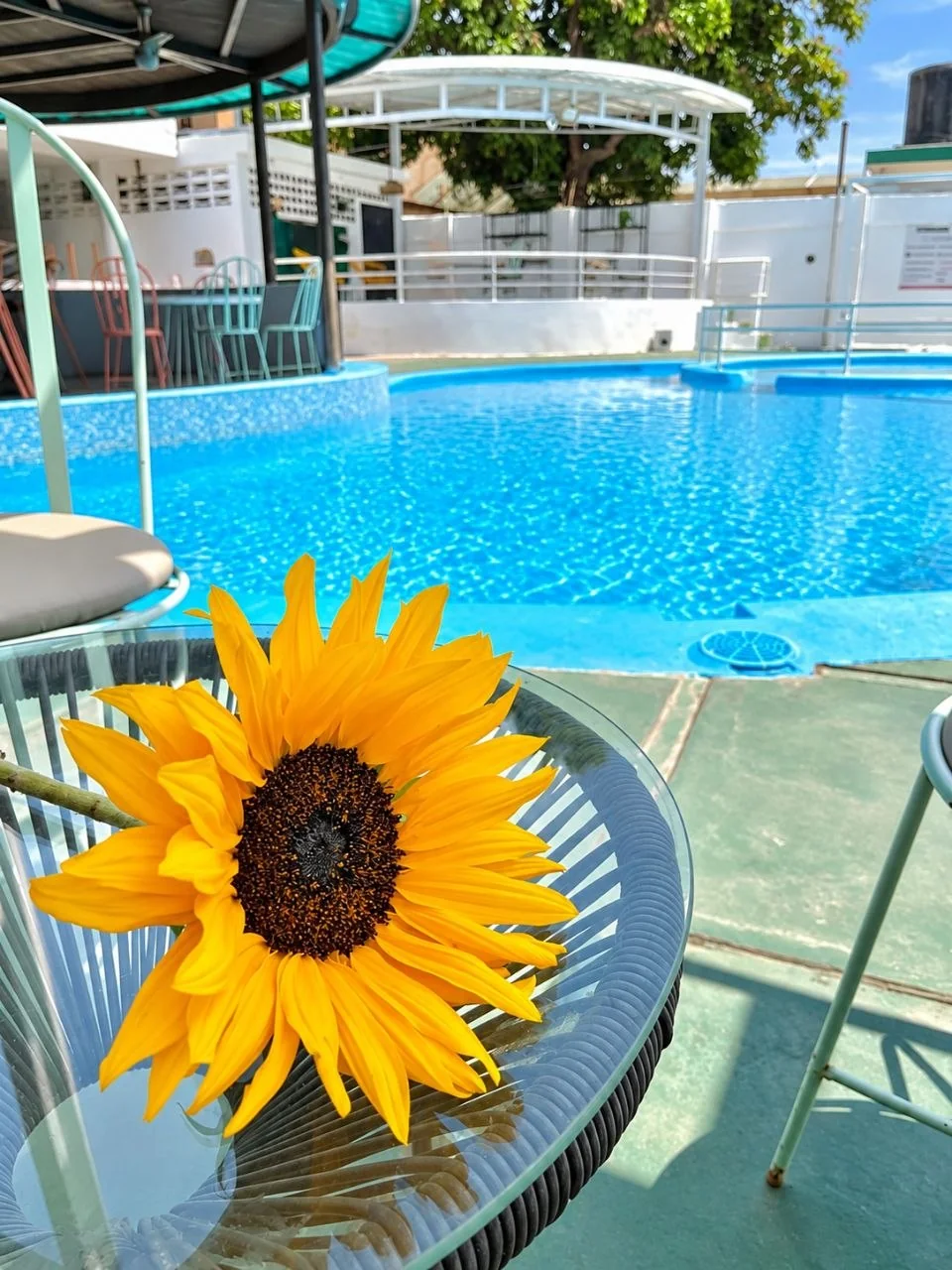 Detalle junto a la piscina